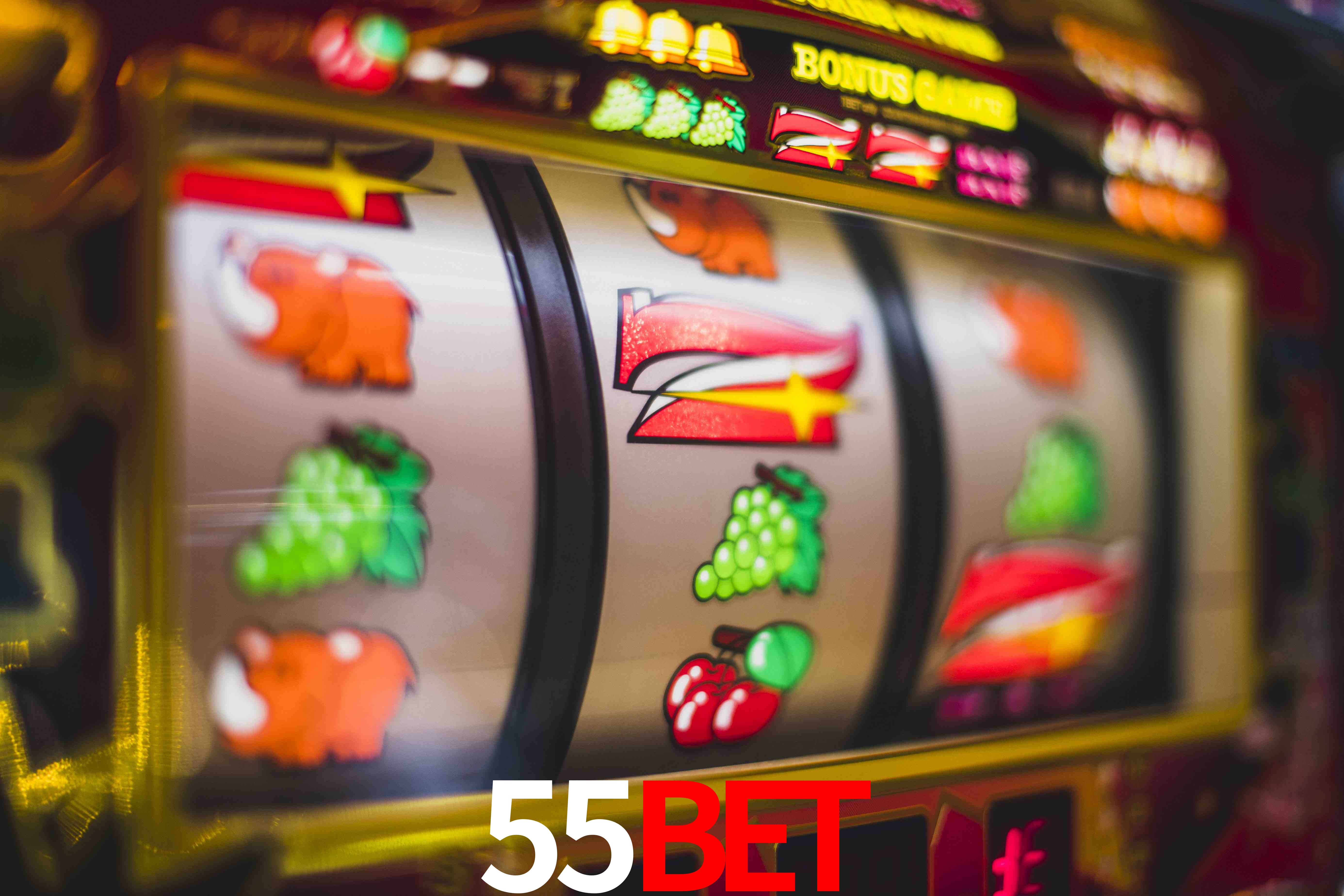 Crash Games Statistics 55bet